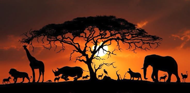 Serengeti Sunset